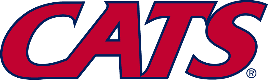 Arizona Wildcats 2013-Pres Wordmark Logo diy iron on heat transfer